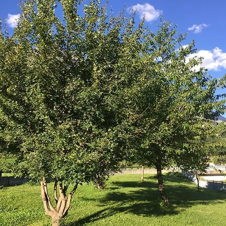 Apartman Casa Sosio Martinelli Isolaccia
