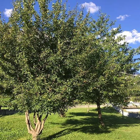 דירה Casa Sosio Martinelli איזולצ'יה