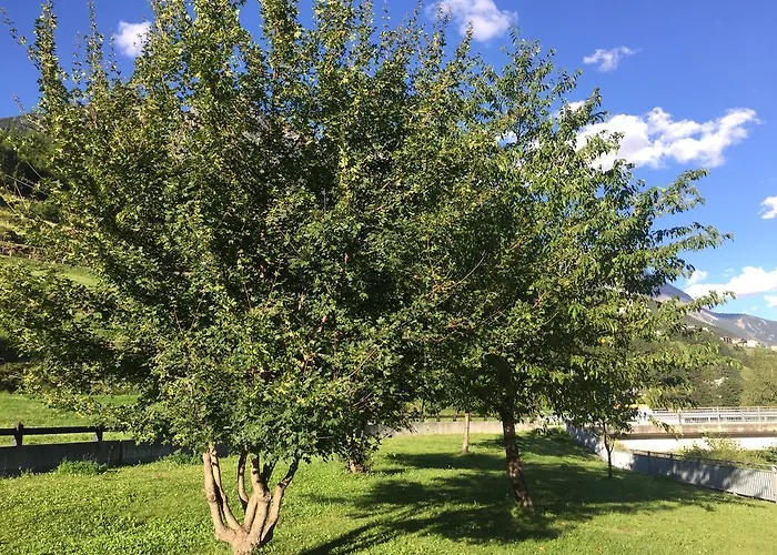 Διαμέρισμα Casa Sosio Martinelli Isolaccia